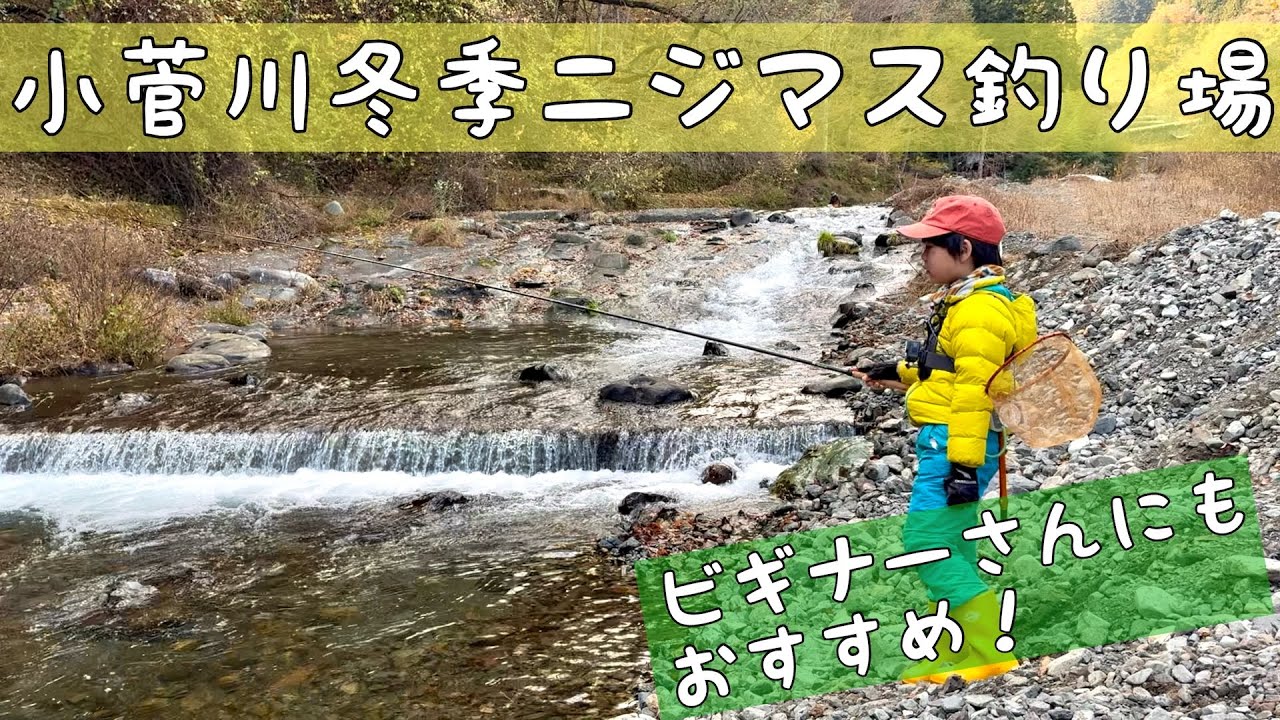小菅川冬季ニジマス釣り場はこんな毛鉤で連発でした。#テンカラ