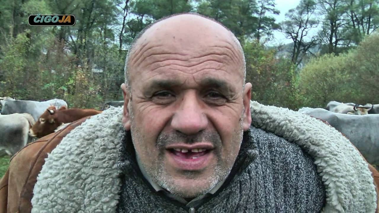 - VASAR ZMAJA OD SIPOVA LUCINDAN 2019 ZMAJ NAJVECI TRGOVAC