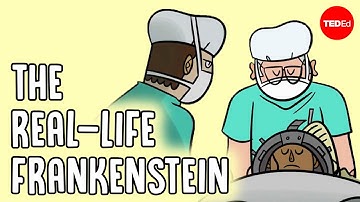 One surgeon