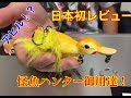 【怪魚ルアー】savage gear 3D suicide duck サベージギア 3Dスーサイドダック レビュー
