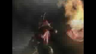 Basara opening