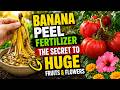 Banana Peel Fertilizer: The Secret to HUGE Fruits &amp; Flowers