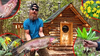 Eating Whatever I Catch  Spring Survival Super at the Off Grid Log Cabin!