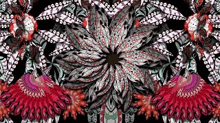 Ethnic Seamless Vj Loop video | No Copyright Video Background | No Copyright Stock Video