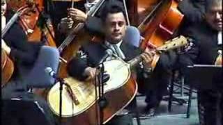VIOLIN HUAPANGO MARIACHI VARGAS DE TECALITLAN chords
