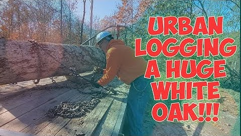 Urban logging with the log arch.