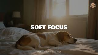 Soft Focus – Bark & Chill Soundtrack | Peaceful Companionship Music screenshot 2