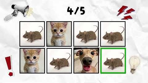 Say The Word On Beat I LEVEL 1-3 I EASY MEDIUM HARD