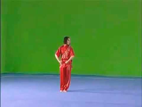 3 Duan ChangQuan - Section 1