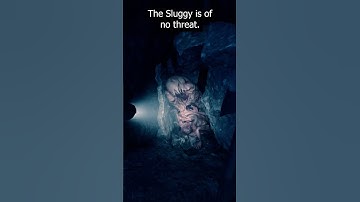 How to get the Rope Gun & Stun Baton in Sons of the Forest