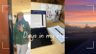 A Few Days In My Life As A Student Athlete At Msu Cold Days, Cles, Training