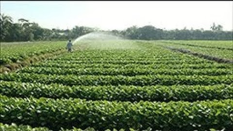 THVL | Cần thực hiện tốt tiêu chí thu nhập