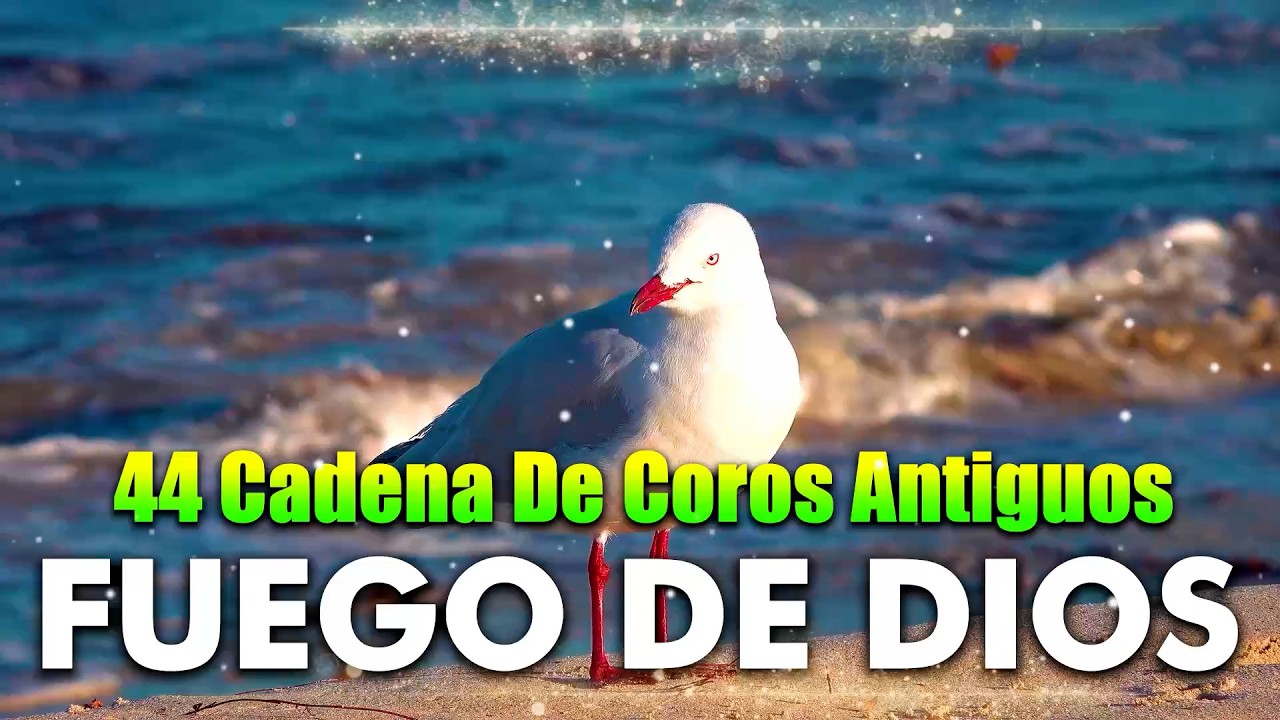 44 Coros pentecostales viejitos pero muy bonitos 120 Minutos de coritos pentecostales