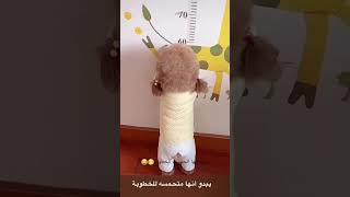 يبدو أنك متحمسه  للخطوبة???