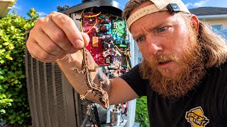 This Inverter AC Lost 240V… Then I Found THIS