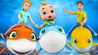 Baby Shark Family + Wheels On The Bus - Funny Cartoons Songs & More Best Nursery Rhymes