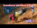 உலகம்பட்டி ஜல்லிக்கட்டு 2023 Batch 9 | ULAGAMPATTY JALLIKATTU |Thangam Jallikkattu tv