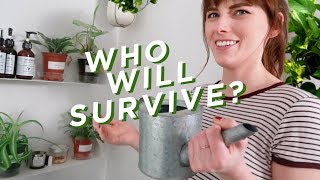 TESTING PLANTS THAT SURVIVE IN ZERO LIGHT!