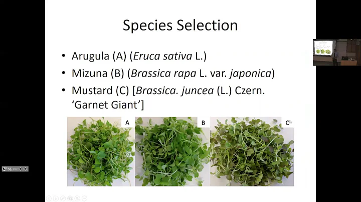 Jonathan Allred: Improving micro green growth