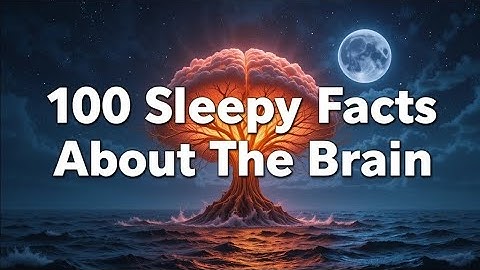 100 Facts About The Brain — Fall Asleep to Science