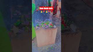 bom bohola bhole🚩🌹🙏🚩🙏 video varal