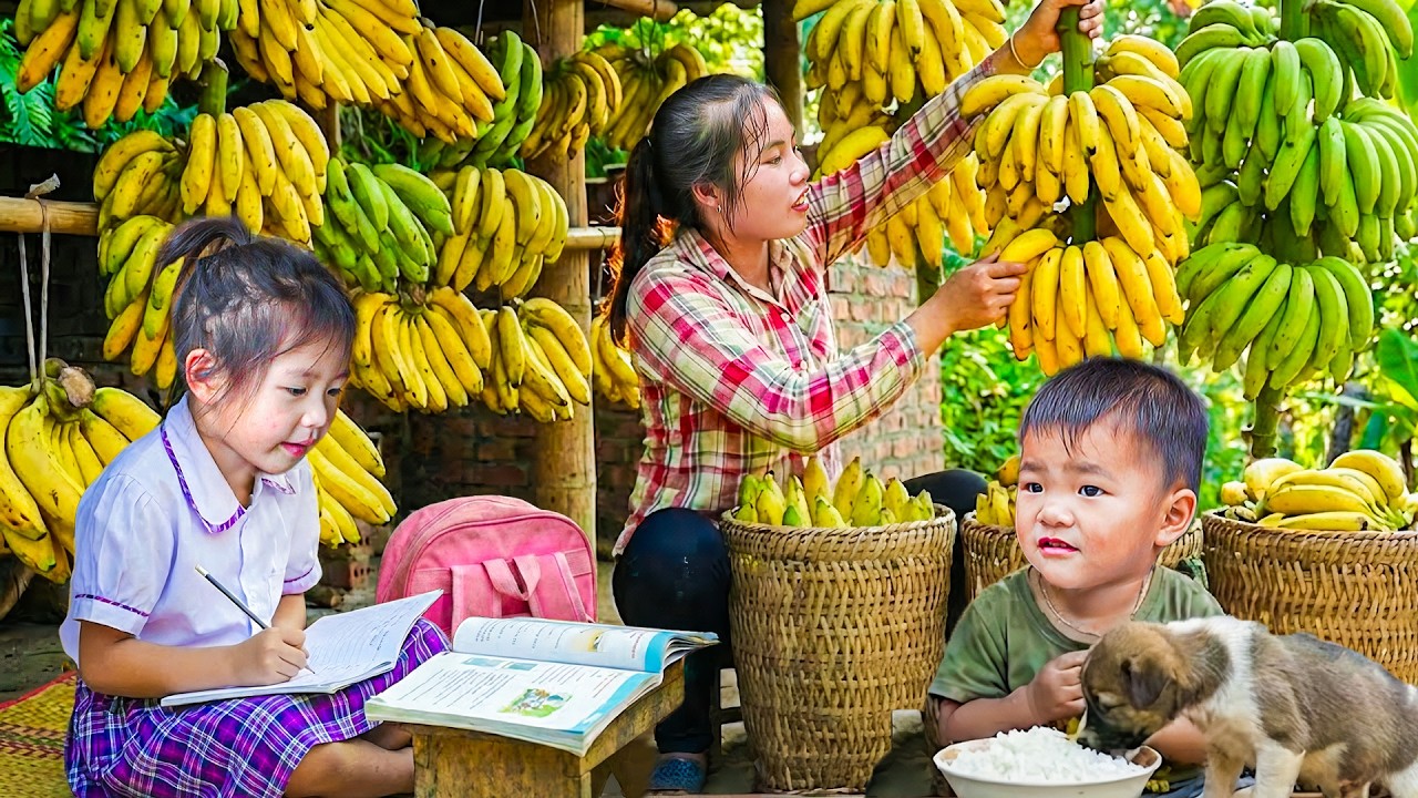 Harvesting Ripe Wild Bananas in the Forest–Selling at the Market and Cooking Tomato Fish for My Kids
