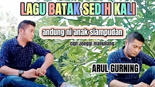 ANDUNG NI ANAK SIAMPUDAN cipt:Jonggi manullang Cover:Arul gurning