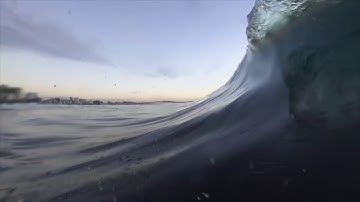 GoPro: SHARK ISLAND POV