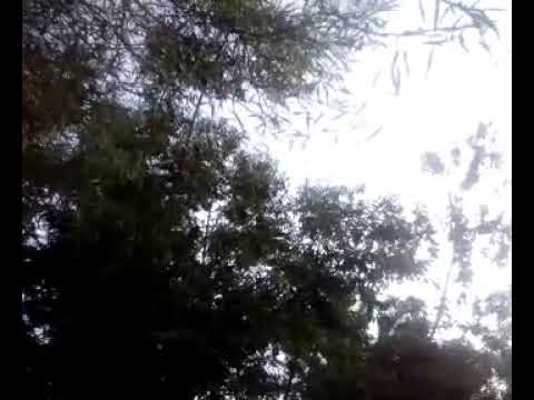 رضاك يارب يكفيني