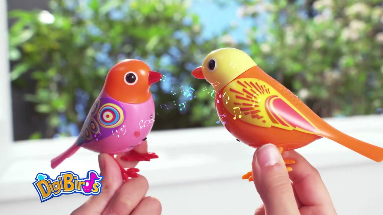 Met andere bands Afstotend Worden DigiBird, Het Fluitende Vogeltje! - YouTube