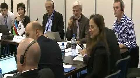 IGF 2012 Workshop 136 "Free cross-border flow of Internet traffic"