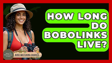 How Long Do Bobolinks Live? - Bird Watching Diaries