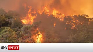 Special report: Turkey's firefighters battle more forest blazes