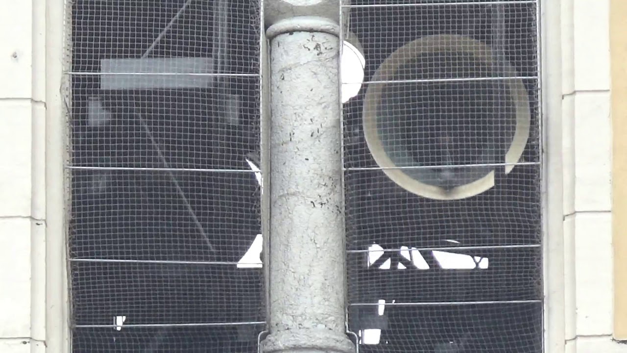 Suonata a Plenum - Campane della Chiesa Parrocchiale di Maria Addolorata a Bolognano (TN)