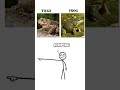 what the difference  #learn #difference #education
