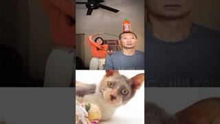 Funny Cat Video 😂😂😂#Shorts#Funkis #fails #memes