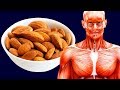 What Will Happen If You Eat 20 Almonds Every Day?