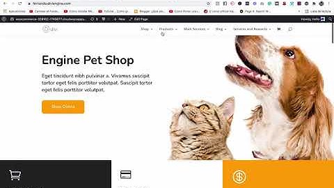 Explicando y aplicando el módulo de Pestañas Verticales de Divi Mega Menu