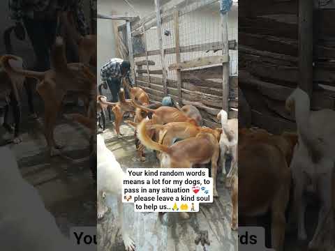 Please subscribe and donate #donate #puppy #doglover#doglife