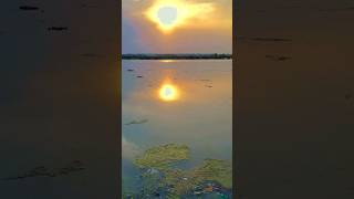 Delhi Ka Yamuna Nadi #trendingshorts #yamuna #share #viralshort #delhi #like #sub