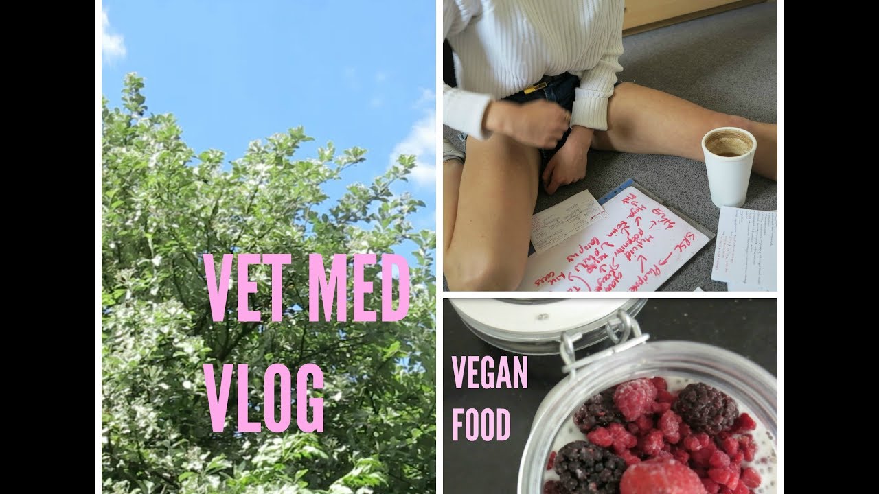 WEEKEND STUDY VLOG / VET MED/ VEGAN FOOD YouTube