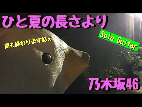 【46曲目】乃木坂46『ひと夏の長さより』