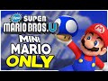 Is it possible to beat New Super Mario Bros. U as Mini-Mario?