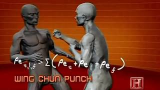 Lethal Weapon   Wing Chun Kung Fu Jeet Kune Do