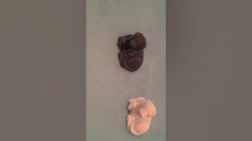 Problem mit Artillery sidewinder x1 gelöst...dachte ich