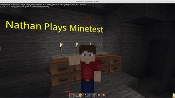 Nathan Plays Minetest - 10