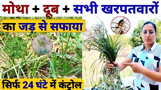 मोथा दूब गाजर घास सभी खरपतवारों की परमानेंट छुट्टी | kharpatwar nashak | sempra | mera71 |Herbicide