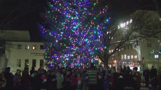 Peace Tree Lighting