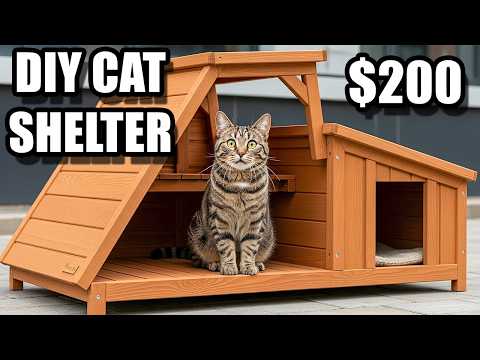 Diy Feline Sanctuary Cat Cage Cat Tunnel How To Make A Indoor Cat An Outdoor Cat Outdoor Cat  Tunnel