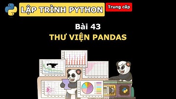 #43 Thư viện pandas - Lập trình python - vninfographic